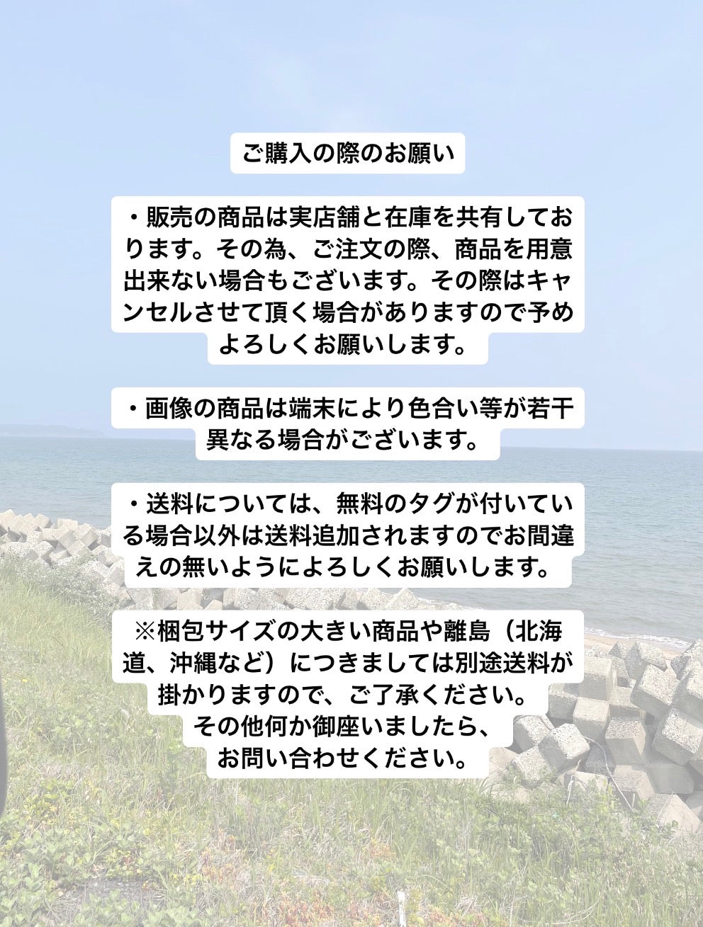 BELL SANCTION2 HELMET ベル サンクション2 マット ブラック 男女兼用 Mサイズ Lサイズ 人気商品 正規代理店契約商品★ ★■